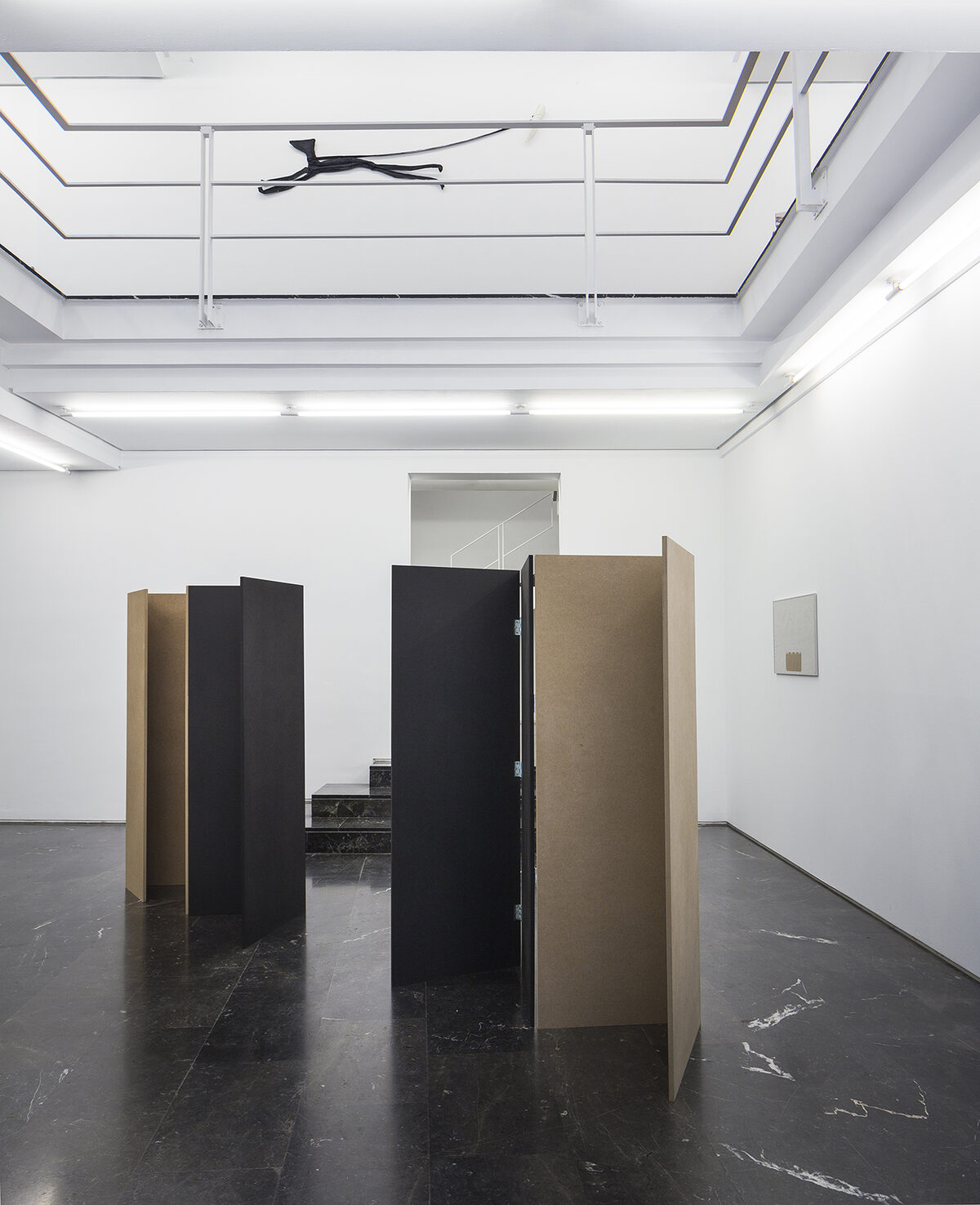 ana-de-fontecha-call-20-00