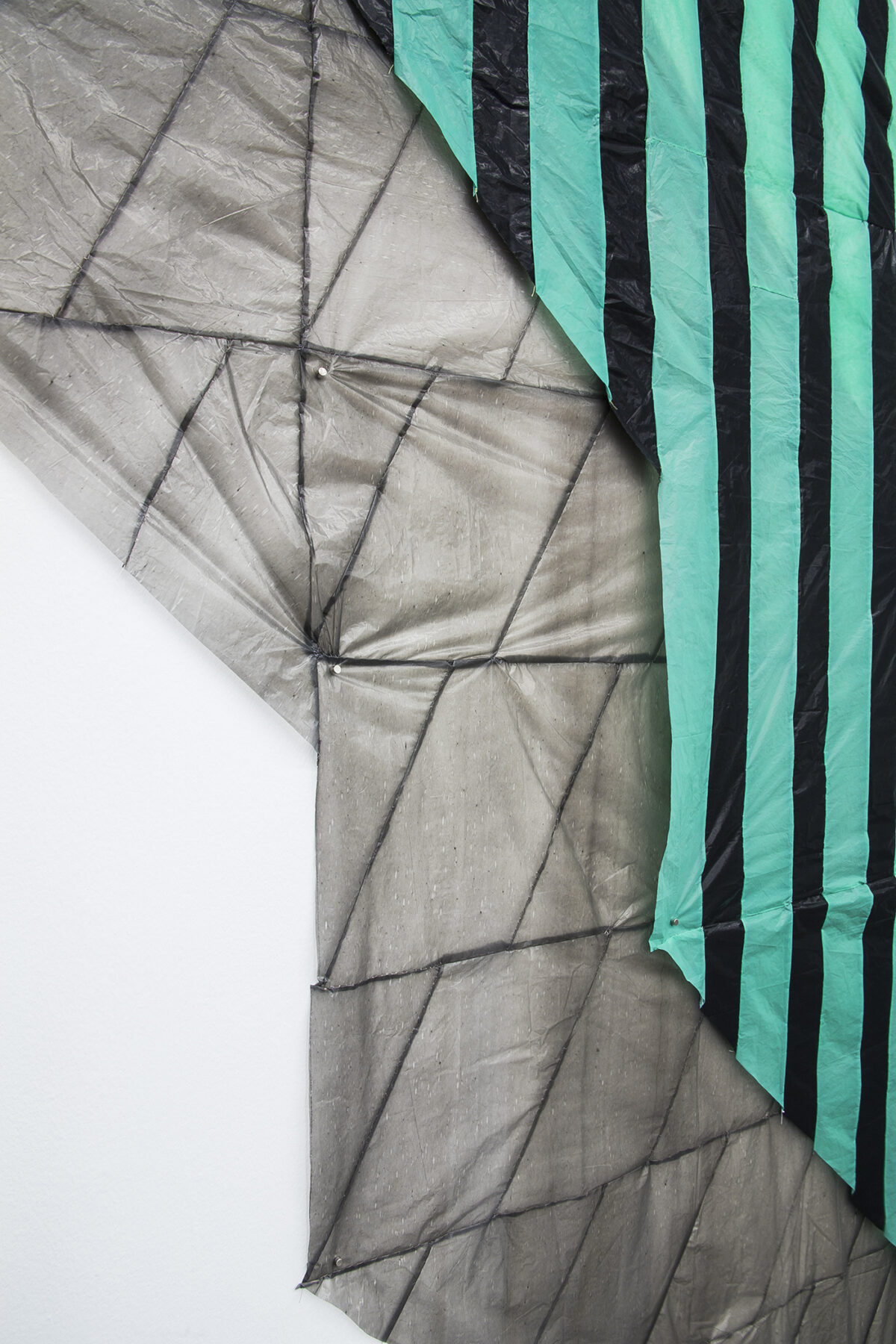 elisa-pardo-call-20-01