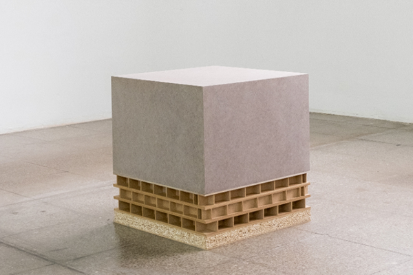 irma-alvarez-anamas-project