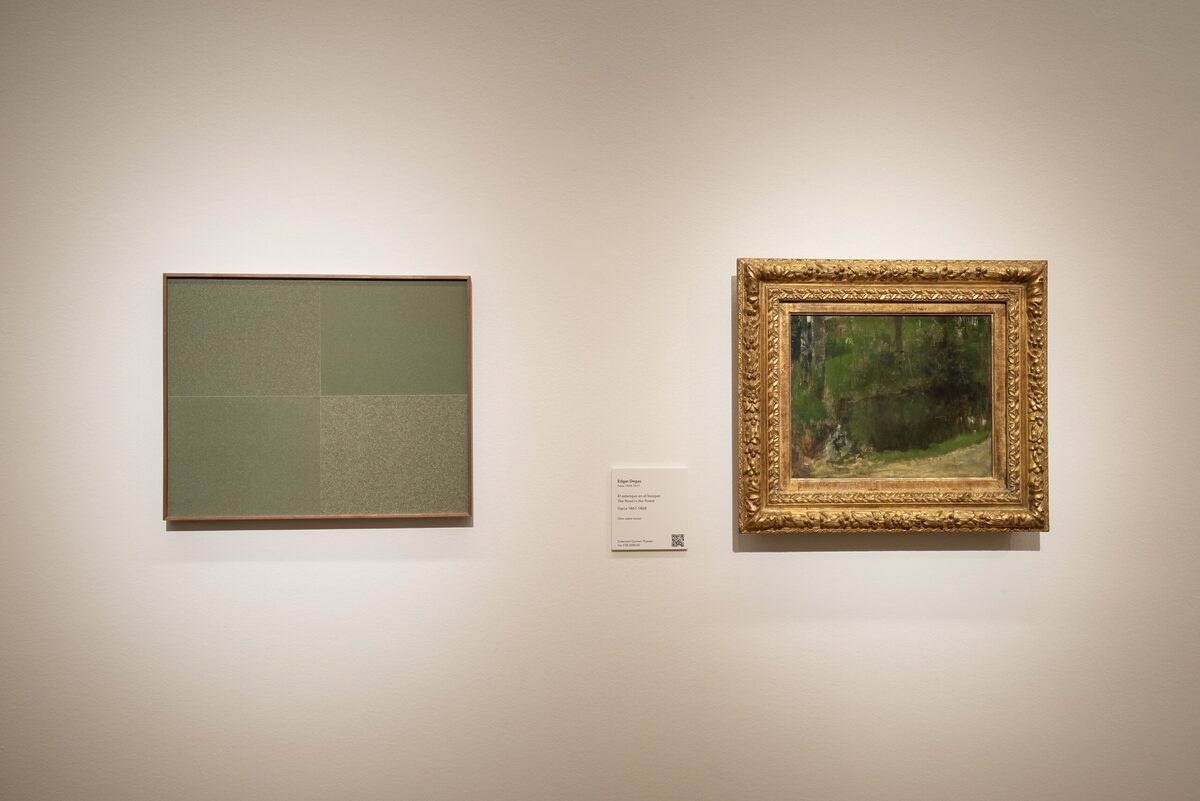 rma-alvarez-laviada-dentro-fuera-del-marco-museo-thyssen-madrid-vista-sala-2